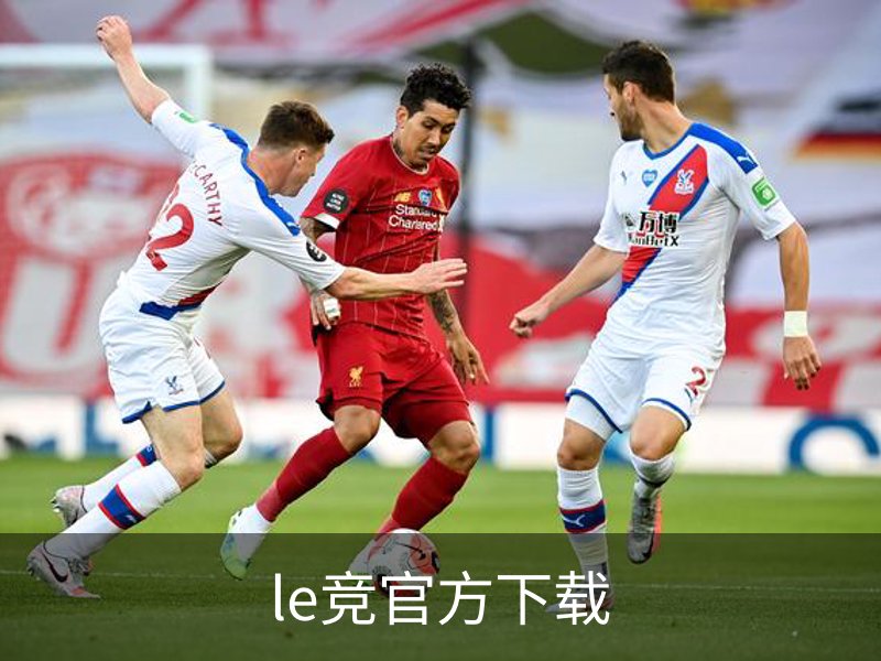 le竞官方下载概况